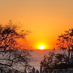 Meet your Posher, Jan